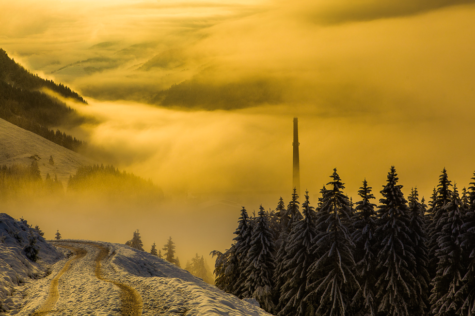 Winterlicht